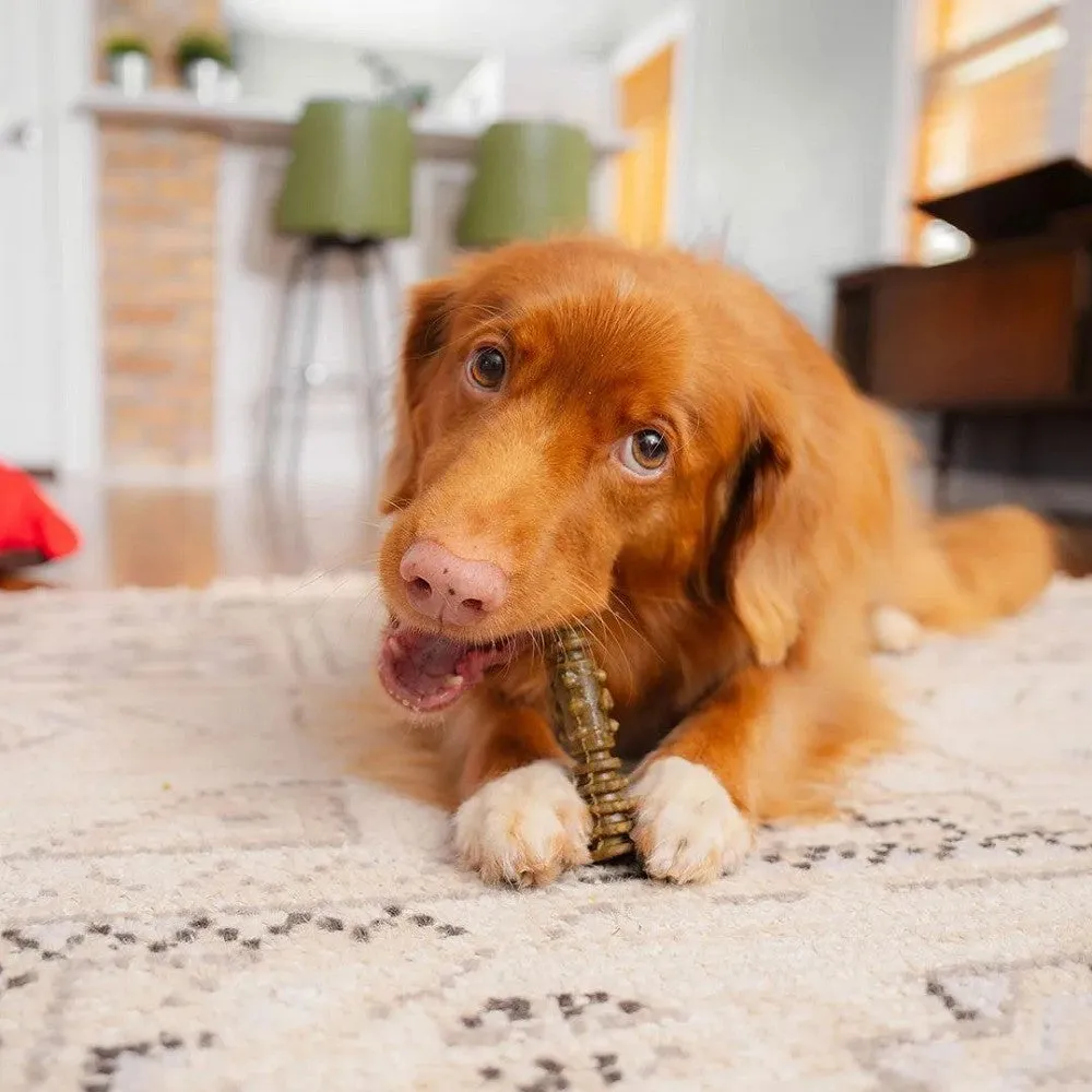 4 In 1 Dental Delights Stick for Dogs