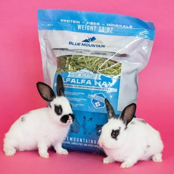 Blue Mountain Hay High-Altitude Alfalfa Hay