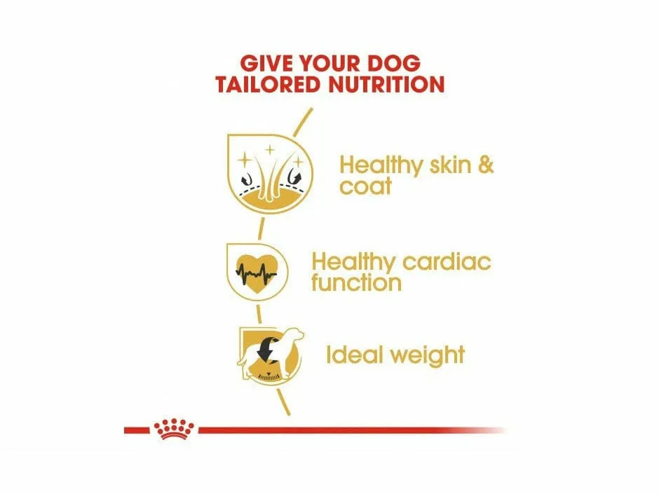 Breed Health Nutrition Golden Retriever Adult 12 KG