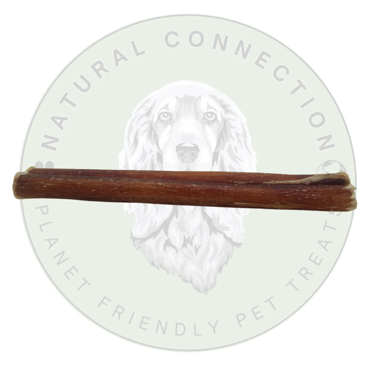 Bully Pizzle Stick | Dog Chew | Low Odour, High Quality Treats by Natural Connection