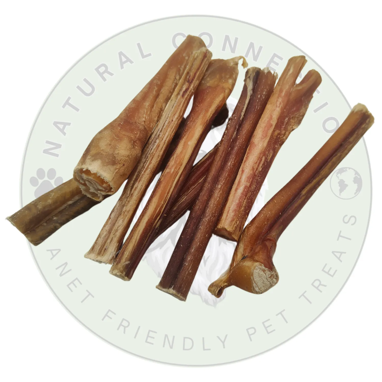 Bully Pizzle Stick | Dog Chew | Low Odour, High Quality Treats by Natural Connection