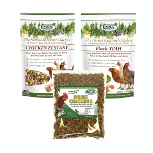 Chicken Treat 3 Pack