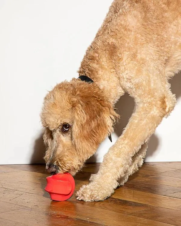 Dog Toy Twist Toss