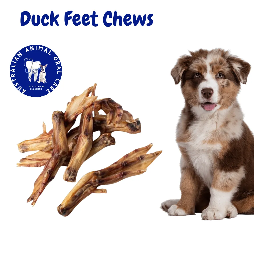 Duck Feet Dental Chew