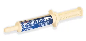 Fullbucket Dog Probiotic Paste (single tube)