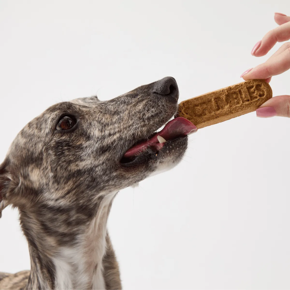 Gnashers: Daily Dog Dental Sticks