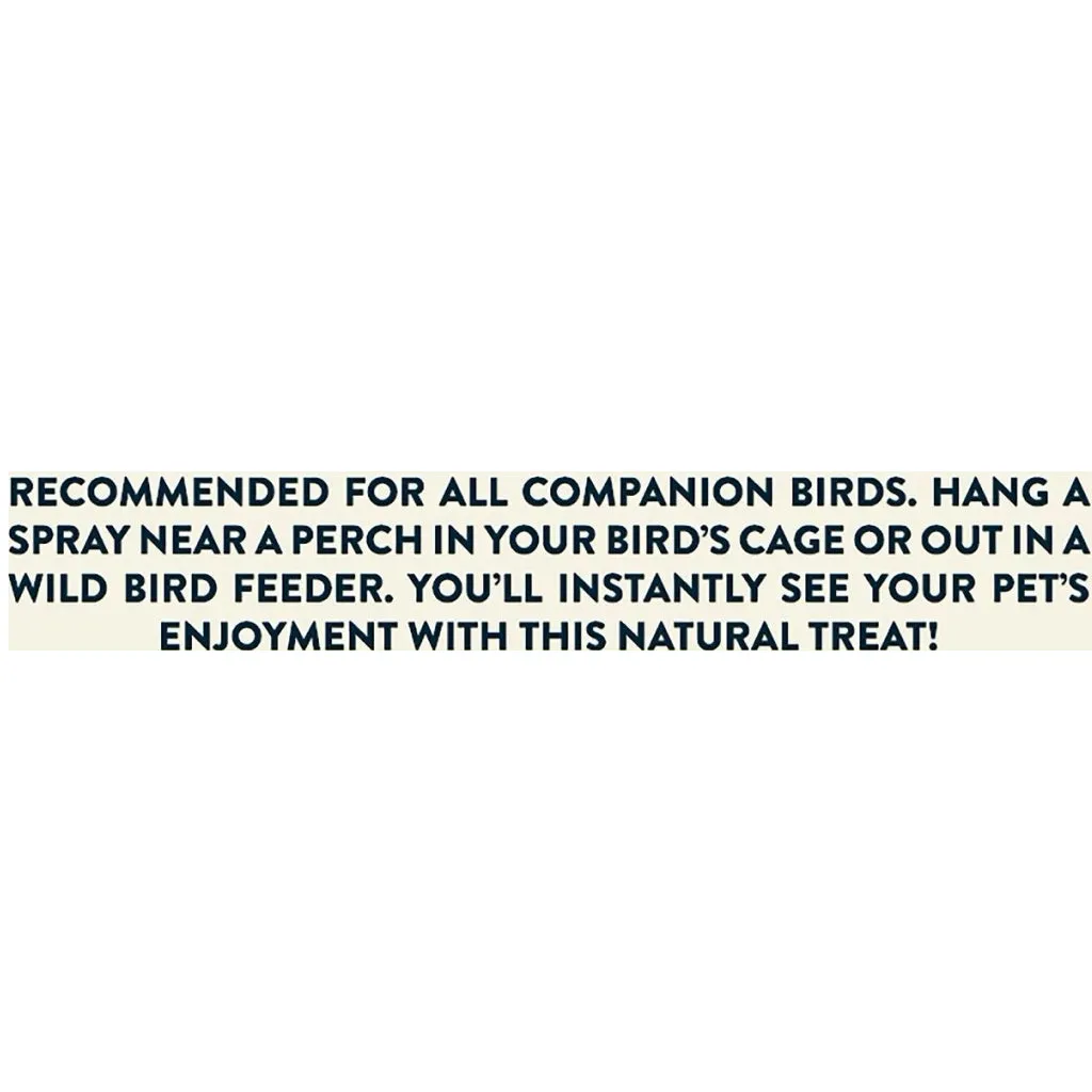 Higgins Spray Millet Treats For Birds