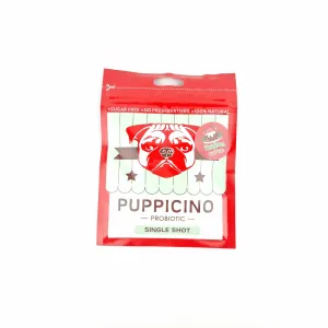 L'Barkery Puppicino Christmas Fruit Cake Shot