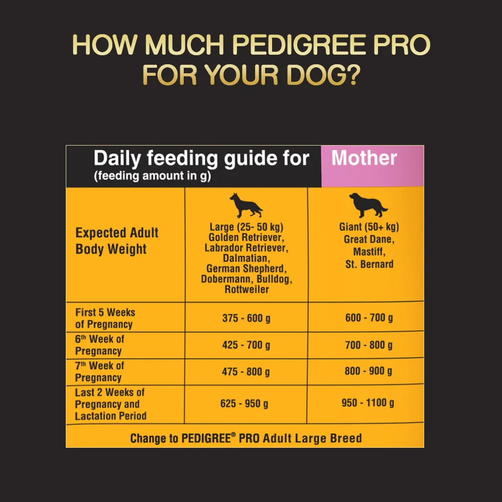 Pedigree PRO Expert Nutrition Lactating/Pregnant Mother & Puppy Starter Large Breed Dog Dry and Chicken Chunks in Gravy Puppy Wet Food Combo