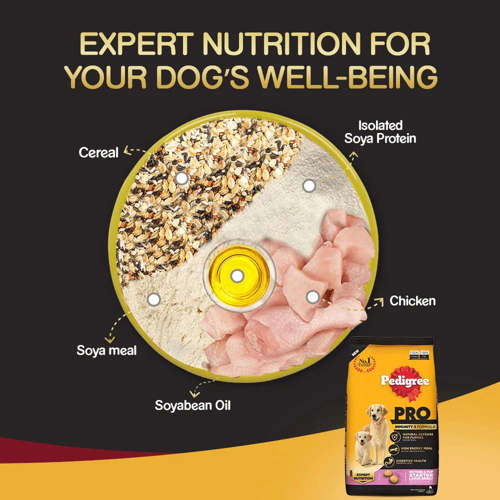 Pedigree PRO Expert Nutrition Lactating/Pregnant Mother & Puppy Starter Large Breed Dog Dry and Chicken Chunks in Gravy Puppy Wet Food Combo