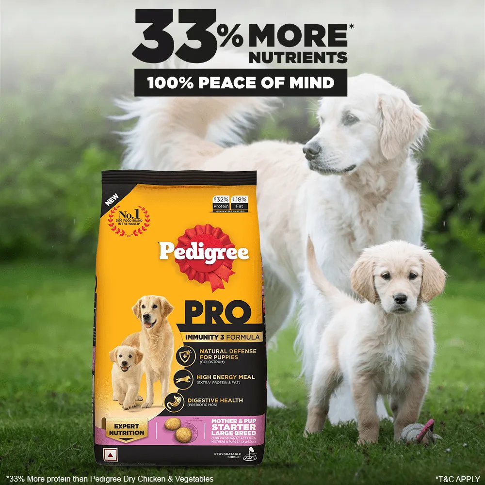 Pedigree PRO Expert Nutrition Lactating/Pregnant Mother & Puppy Starter Large Breed Dog Dry and Chicken Chunks in Gravy Puppy Wet Food Combo