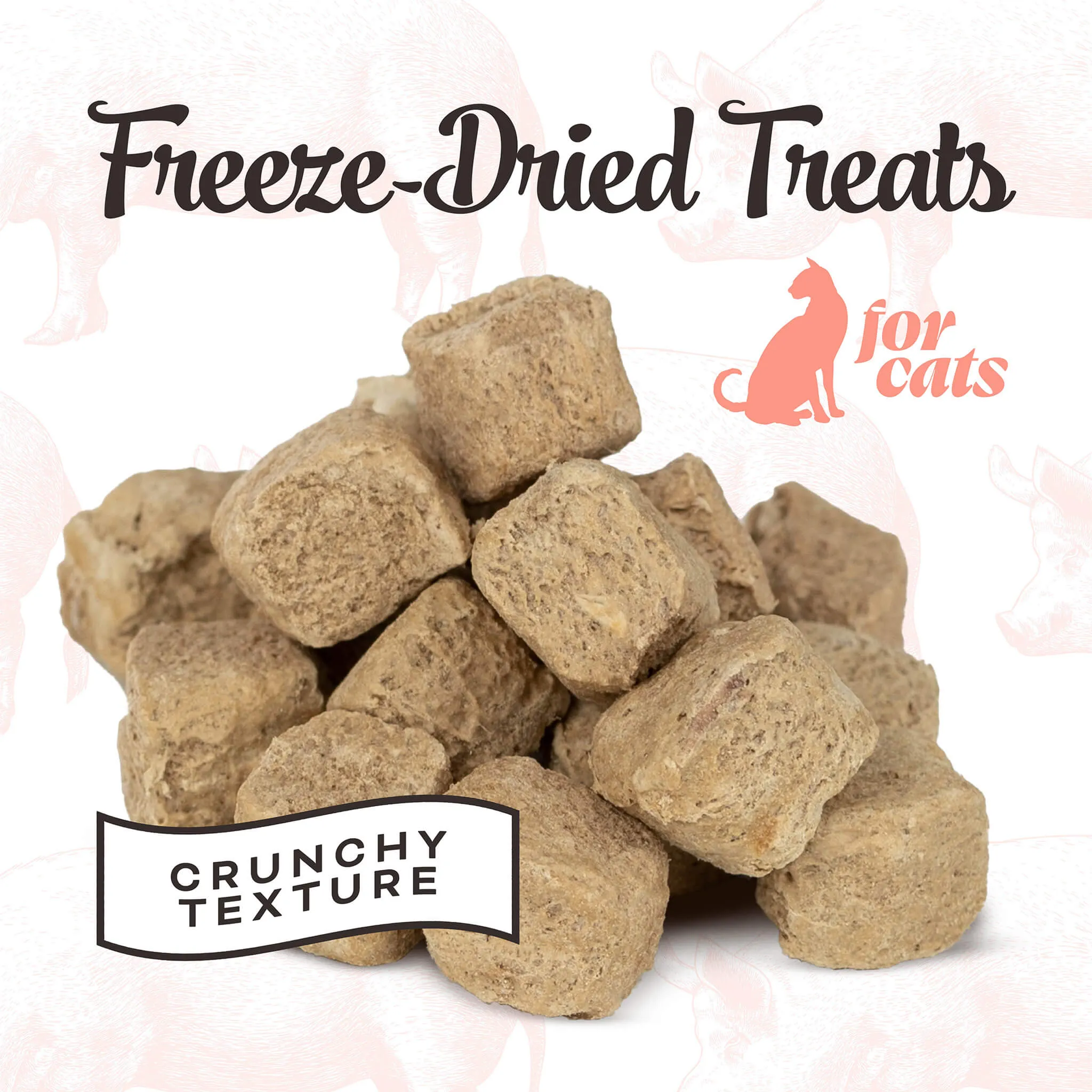 Primal Pet Foods Freeze-Dried Cat Treats