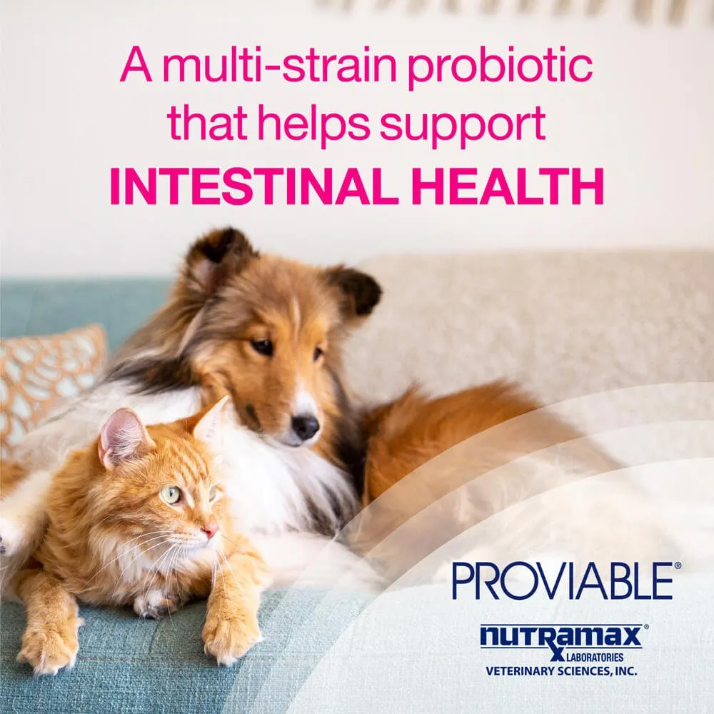 Proviable-DC for Dogs and Cats