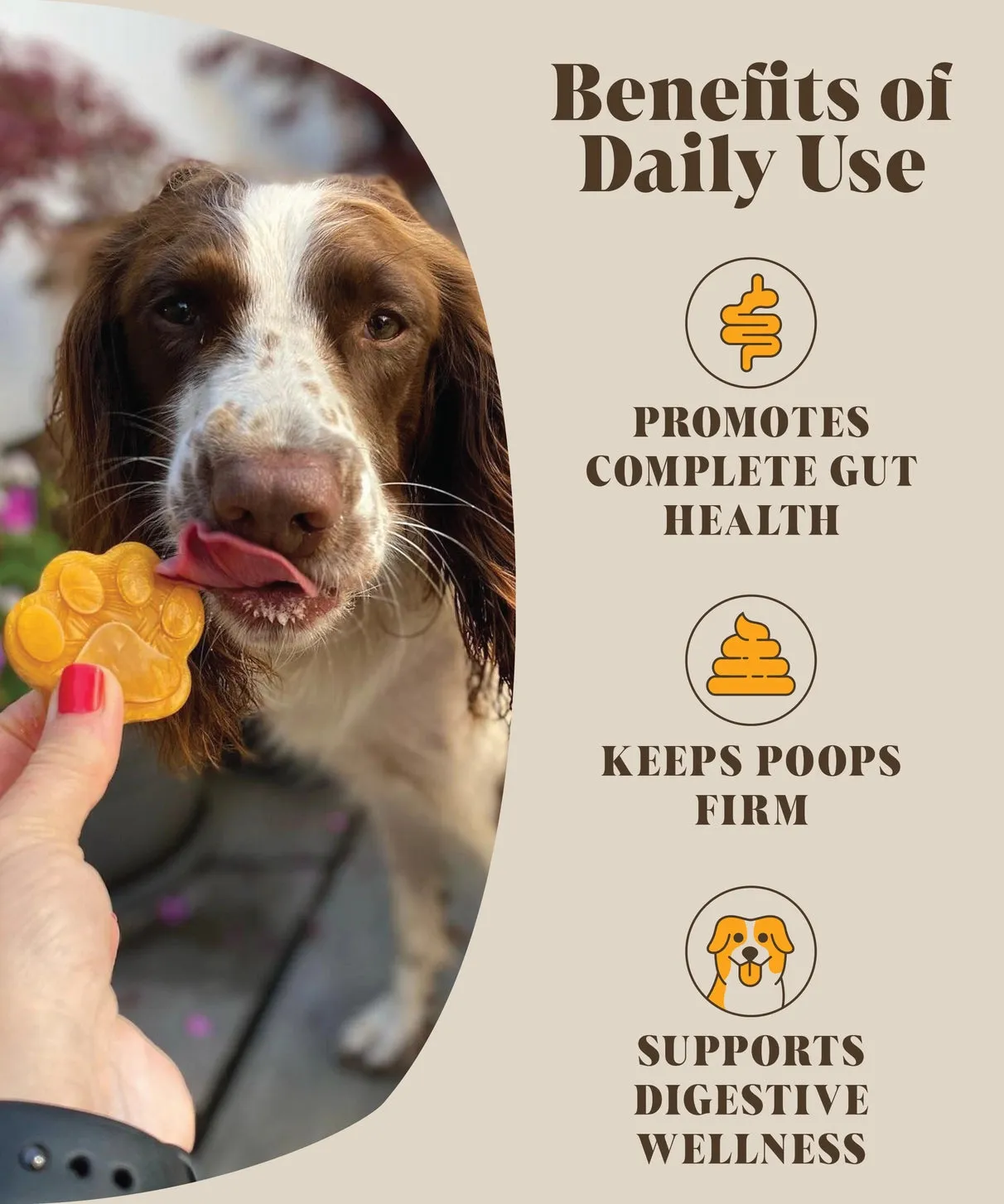 Pumpkin Pre & Probiotics Puree Powder for Dogs