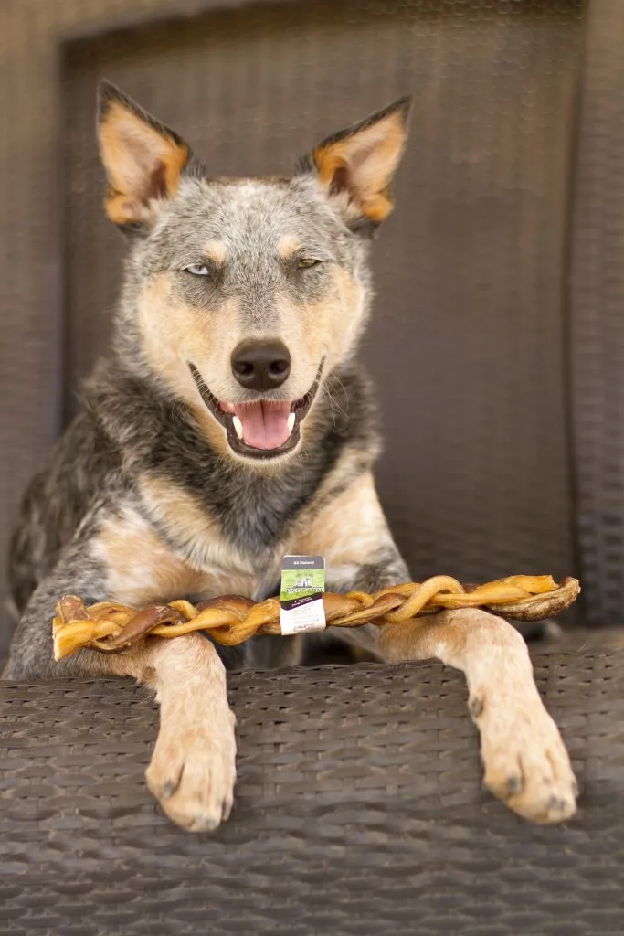 Redbarn Braided Bully Stick Dog Treat, 9in